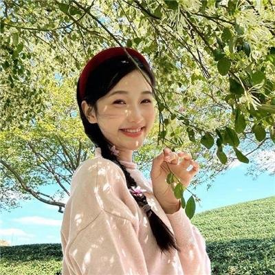 卡拉巴赫之旅
